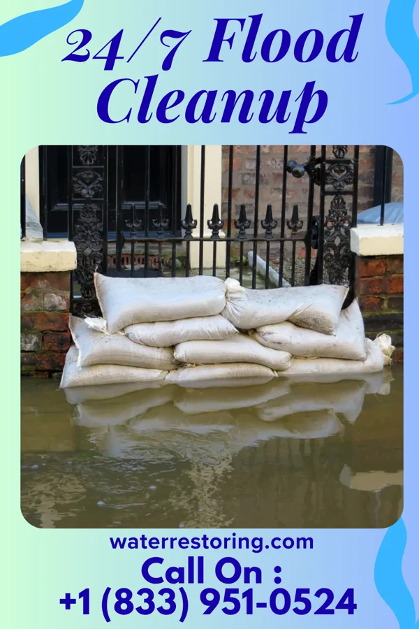 24/7 Flood Cleanup in Coatsburg, IL