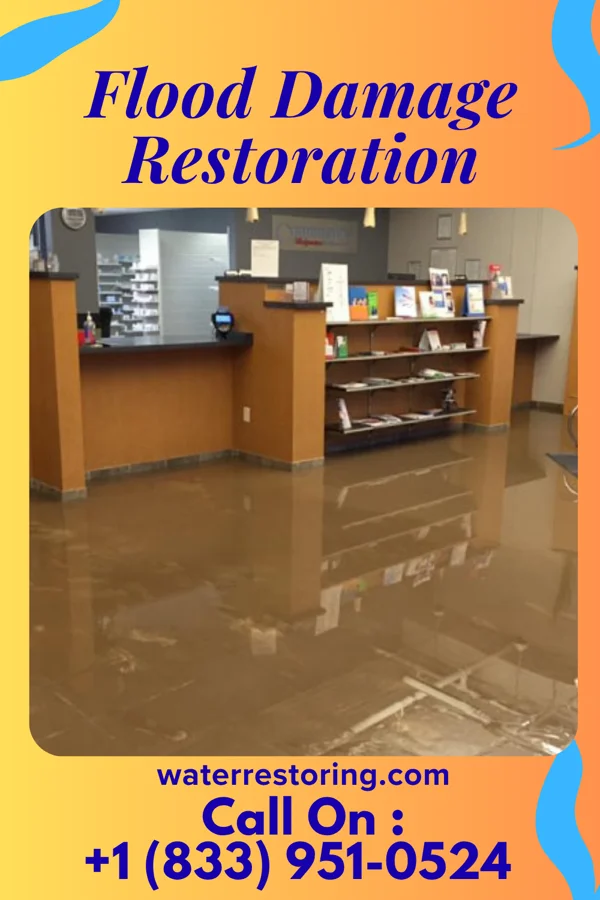 Flood Damage Restoration in Coatsburg, IL