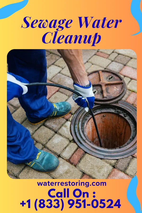 Sewage Water Cleanup in Coatsburg, IL